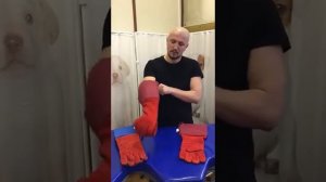 Ветеринарные защитные перчатки ТД ВЕТ