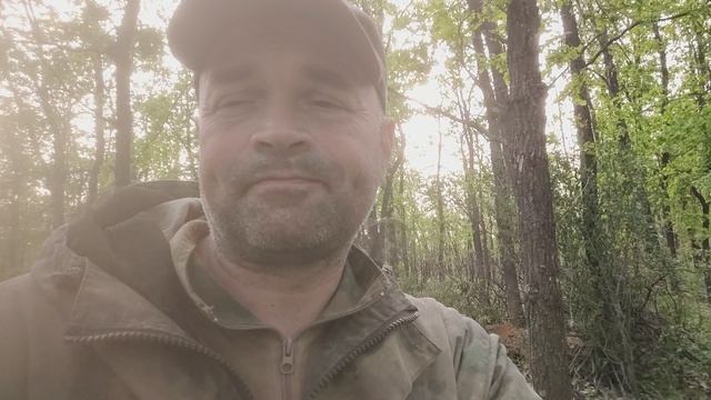 архивное смотреть онлайн