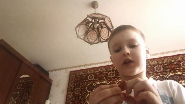 Лепка зайца из "Ну, погоди", и цветочка. смотреть онлайн