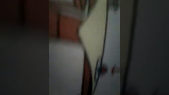 Обзор книги I Am Pusheen the Cat. смотреть онлайн