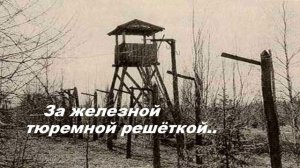 За железной тюремной решёткой...