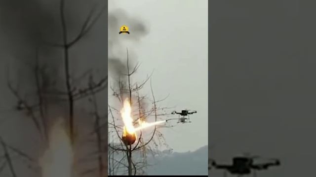 Уничтожение гнезда азиатского шершня с дрона/Removal asian hornet's nests with drone смотреть онлайн