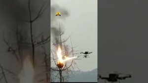 Уничтожение гнезда азиатского шершня с дрона/Removal asian hornet's nests with drone