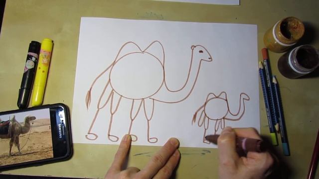 Верблюд и верблюжонок