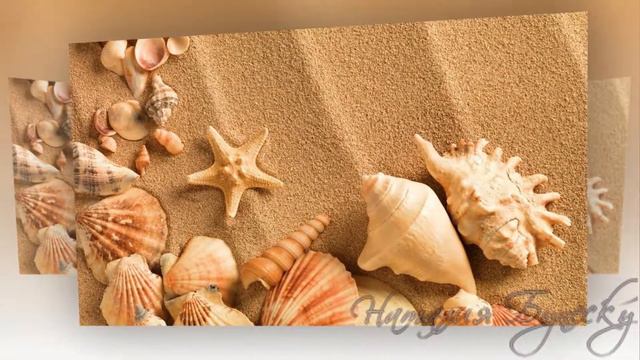 Ракушки смотреть онлайн