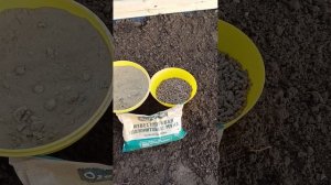 Как я использую гранулированный конский навоз осенью!