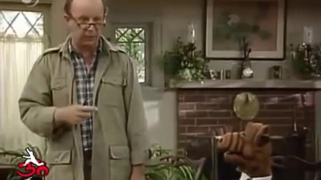 Alf es acusado de romper la ventana de los Ochmonek (parte 2) смотреть онлайн