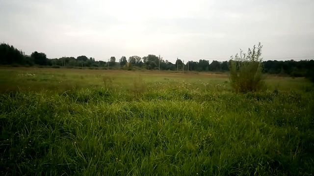 Почему Я НЕ БОЮСЬ ПРОИГРАТЬ смотреть онлайн