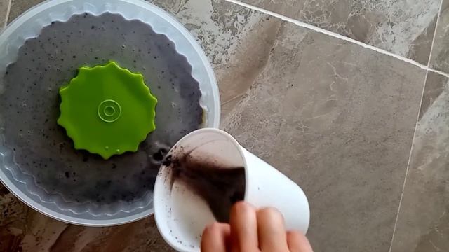 Gelatina De Galletas De Chocolate Solo 3 Ingrediente