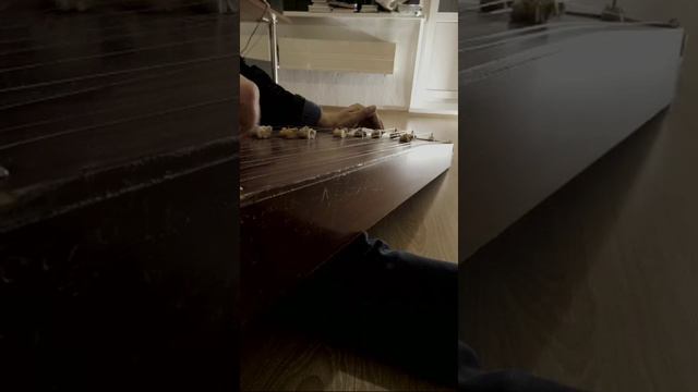Домашняя игра на чатхане, хакасском инструменте... смотреть онлайн