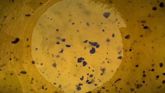 #притчи НИКОГДА НЕ ПАДАЙ ДУХОМ! смотреть онлайн