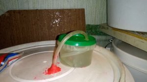 О сахарной  браги часть 2  сроки и температура  в комнате