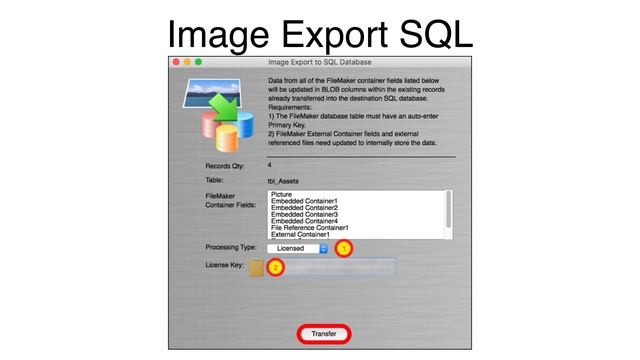 How To Export FileMaker Images to SQL Databases with FmPro Migrator Platinum Edition смотреть онлайн