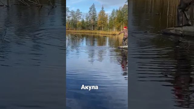 Мончегорск смотреть онлайн