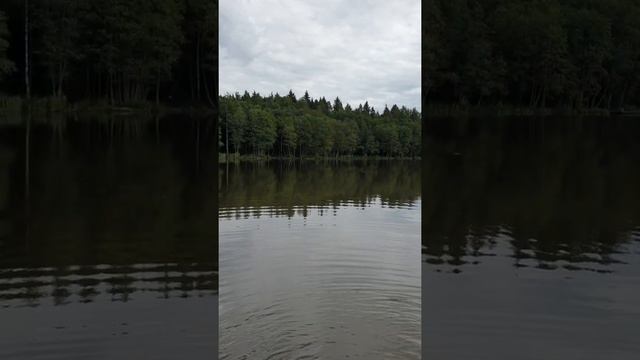 Постоянные гости на водоёме. Отзывы и рыбалка. смотреть онлайн
