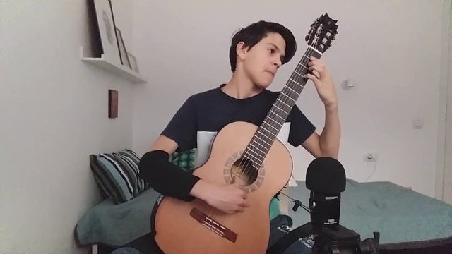Napoleon Coste op. 38 no. 23 played by Nichita Gînscă смотреть онлайн