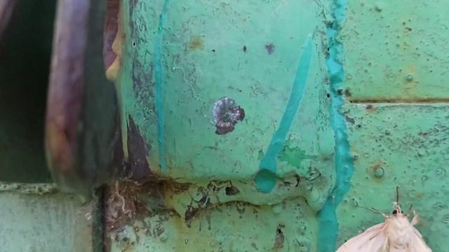 Стрельба из Хатсан 125. смотреть онлайн