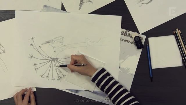 Как нарисовать птицу простым карандашом. Мастер-класс художника Таши Габеевой смотреть онлайн