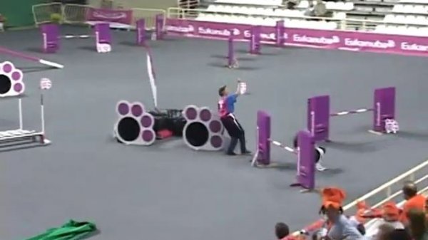 2001 fci agility world championship individual standard agility