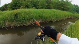 Рыбалка на голавля.  Воблеры на голавля. Рыбалка лето 2021