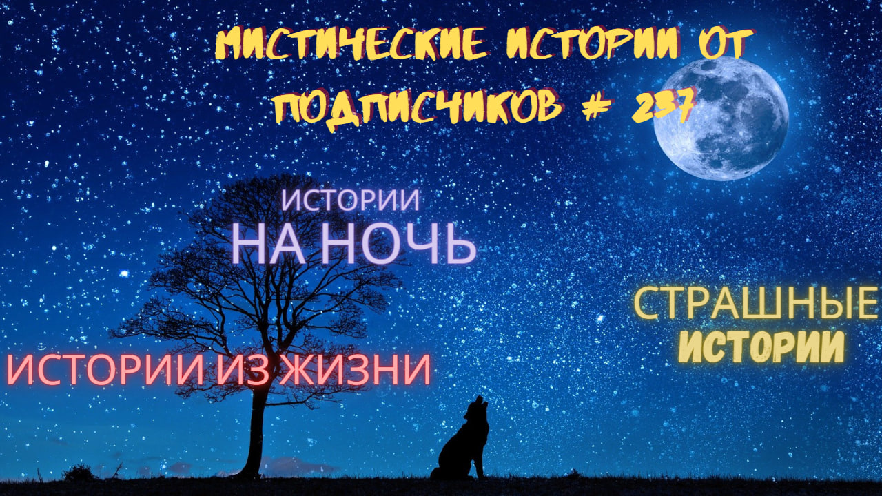 МИСТИЧЕСКИЕ ИСТОРИИ ОТ ПОДПИСЧИКОВ ЧАСТЬ 237