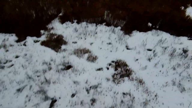 MINELAB VANQUISH 540 Самый жёсткий тест!