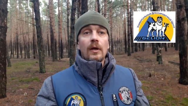 салюты и петарды... как избежать стресса? смотреть онлайн