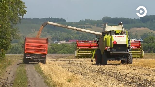 Пензенские аграрии намололи два миллиона тон зерновых и зернобобовых культур смотреть онлайн
