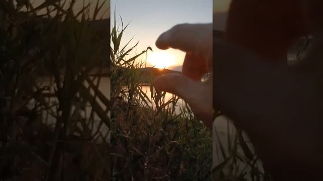 Молчание смотреть онлайн
