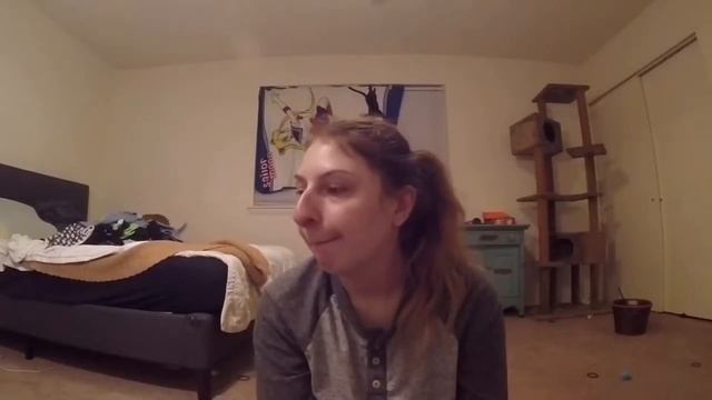 Watch My Cat Yell at Me for 9 Minutes as I Try to Learn ASL смотреть онлайн