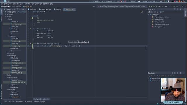 Snippet Pixie: Next - Implement Go's Stringer interface for Snippet struct | Always Developing #98 смотреть онлайн