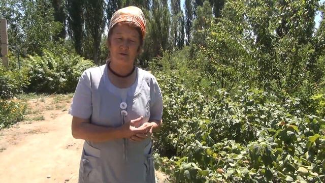 Кара смородина смотреть онлайн