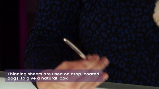 Shannon Tupes recommends: how to choose the right scissors? смотреть онлайн