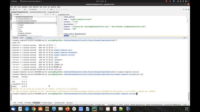2. Environment Setup with Poetry and Fast API Web Service Tutorial Example. смотреть онлайн