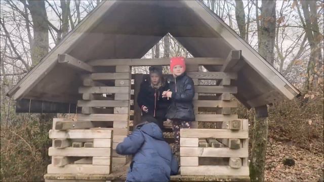 первый полёт ✈️ || время с детьми || кадры с птичьего полёта || пыль сахары в Германии смотреть онлайн