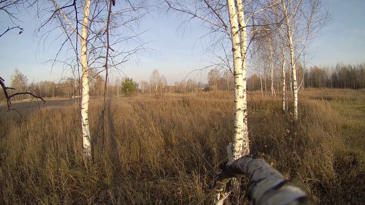 Березки смотреть онлайн