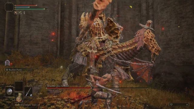 (NO HIT) Draconic Tree Sentinel [Elden Ring Rune Level 1] смотреть онлайн