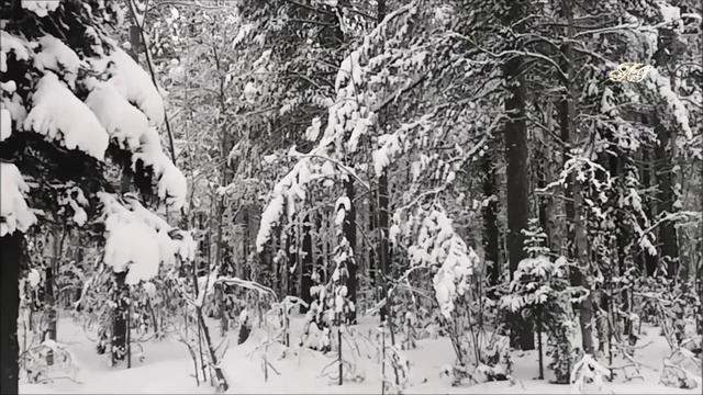 Временной провал за грань реальности!! Случай в тайге! смотреть онлайн