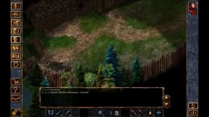 Baldur's Gate: Enhanced Edition Level 1 Mage Solo Full Game