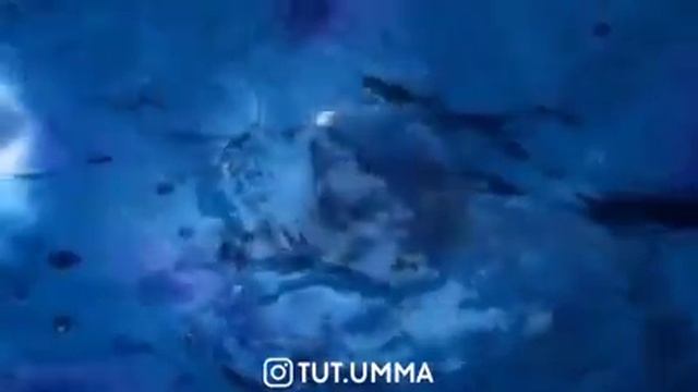 Прекрасная проповедь.