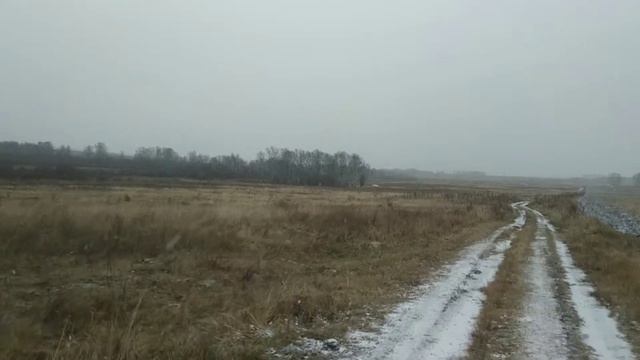 Куропатки ?? смотреть онлайн