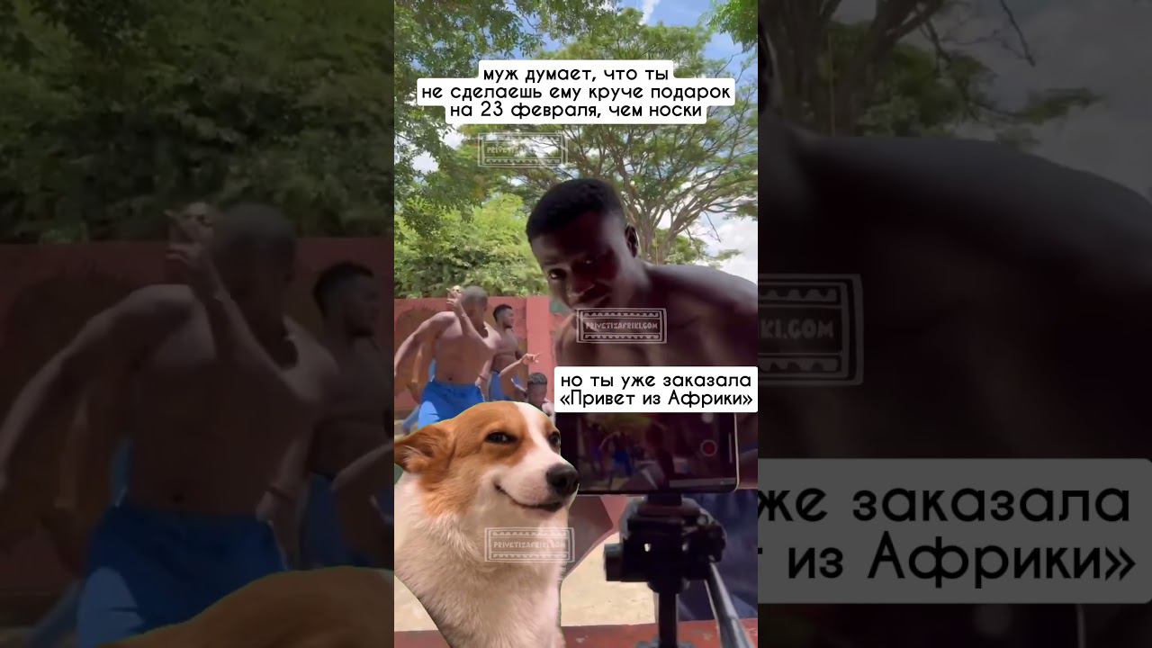 Лучший подарок - эмоции #видеопоздравления #поздравление #видеоприколы смотреть онлайн