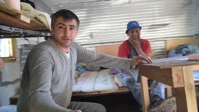 120 000 р за 15 дней механизированная штукатурка смотреть онлайн