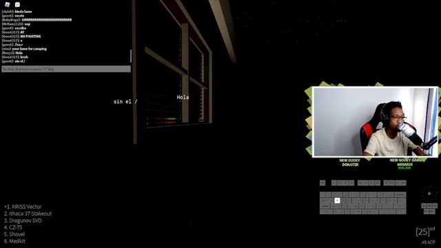 The WEIRDEST Town LOADOUTS I've EVER used... (Roblox Town Tryhard) смотреть онлайн