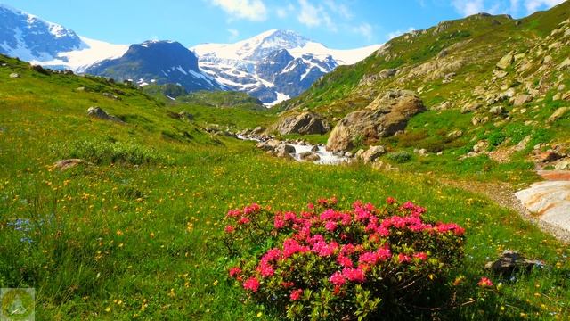 Relax - Шум ручья для медитации, сна, звук живописного ручья, meditation music смотреть онлайн