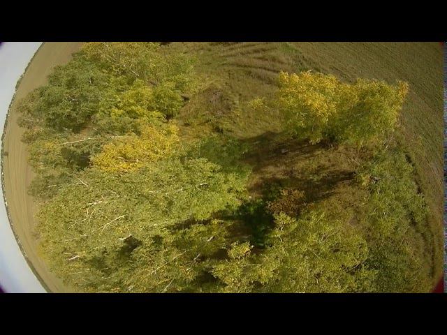 NORM0005 1 смотреть онлайн