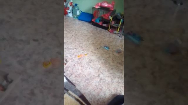 что делать если пропал хомяк 2 смотреть онлайн