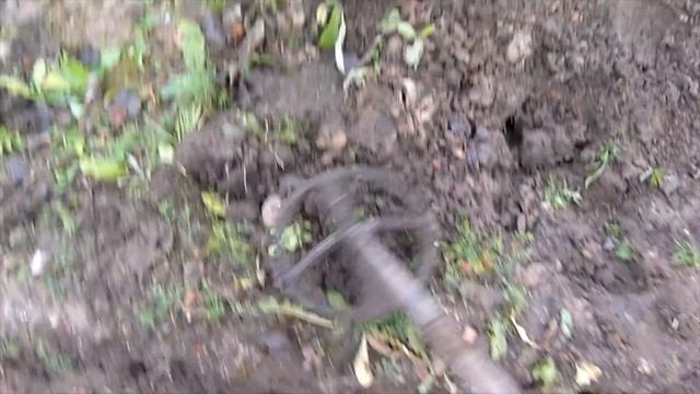 #46 Церковный огород #2. Необычный "КЛАД" под яблоней. смотреть онлайн