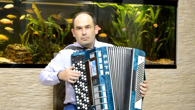 Digital Accordion, Электронный Баян Musatunix смотреть онлайн