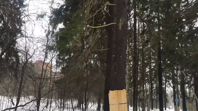 Белкин влог: предвесенняя оттепель, встречаем март смотреть онлайн